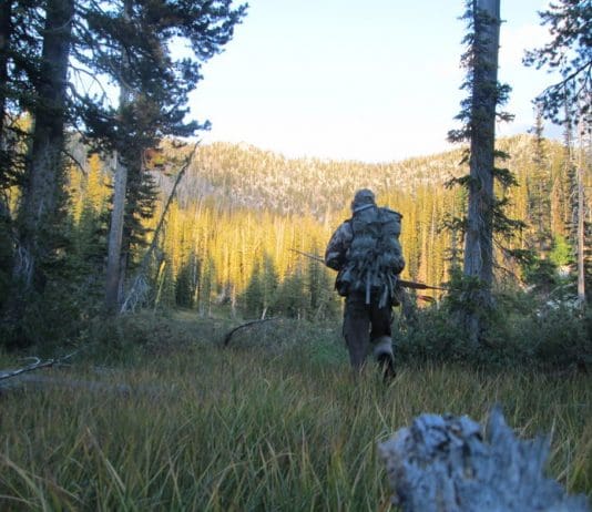 Idaho OTC Elk, Part I IMG 1867