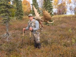 Layering 101 ShaunSmithPic 2