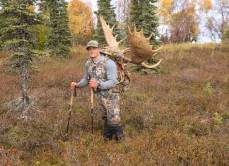 Layering 101 ShaunSmithPic 2