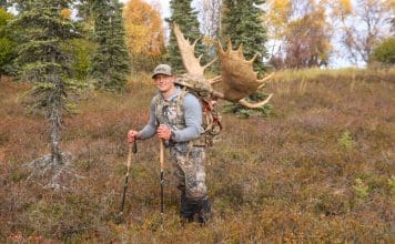 Layering 101 ShaunSmithPic 2