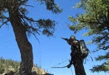 Idaho OTC Elk, Part II wrightIMG 1873