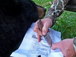 Benchmade Knives: The Hidden Canyon Hunter Benchmade Lead