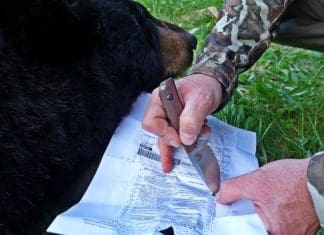 Benchmade Knives: The Hidden Canyon Hunter Benchmade Lead