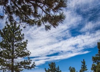 Review: The Really BIG Cooler Showdown Cover photo big cooler