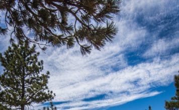 Review: The Really BIG Cooler Showdown Cover photo big cooler