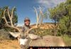 goHUNT.com- Helping the DIY Hunter Lorenzo-Sartini-2014-mule-deer