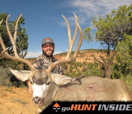 goHUNT.com- Helping the DIY Hunter Lorenzo-Sartini-2014-mule-deer