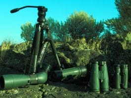 A Big Bag of Swaro’