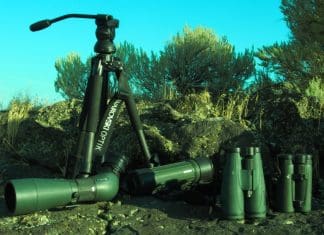 A Big Bag of Swaro’