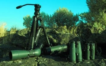 A Big Bag of Swaro’