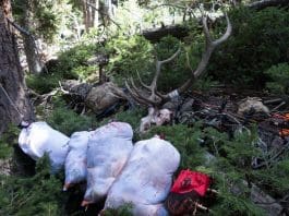 Review: Ovis Sacks Lightweight Game Bags Ovis5Tony