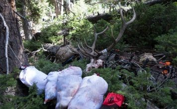 Review: Ovis Sacks Lightweight Game Bags Ovis5Tony