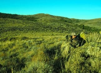 A Season of Hunting Big Mule Deer, Part VII