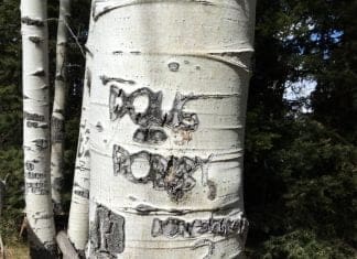 A Season of Hunting Big Mule Deer, Part IV