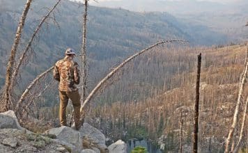 Cirrus Ultralight Jacket Review Picture 3 EDIT Cirrus