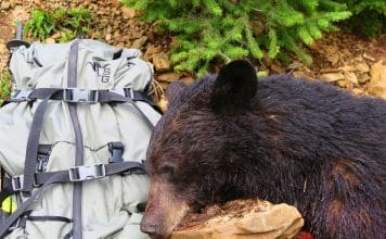 Stone Glacier Sky Talus 6900 Review Jcsg1