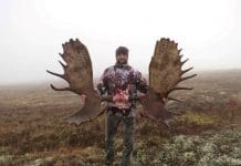 Alaska DIY Moose, The Inside Scoop, Part II Rokmoose18 Custom