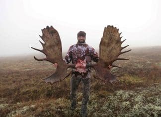 Alaska DIY Moose, The Inside Scoop, Part II Rokmoose18 Custom