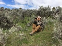 Optics Review: SIG ZULU5 vs. Swarovski EL Range