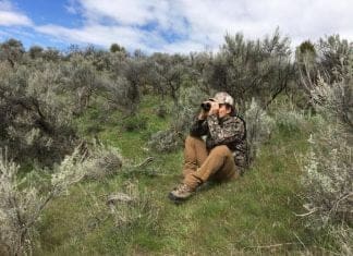 Optics Review: SIG ZULU5 vs. Swarovski EL Range