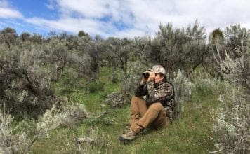 Optics Review: SIG ZULU5 vs. Swarovski EL Range