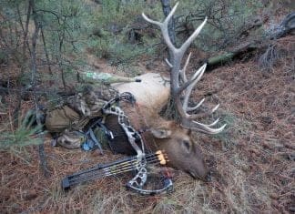 Why I Choose Hoyt Hoyt1