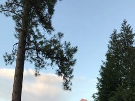 Review: Floorless Pyramid Shootout IMG 0958847