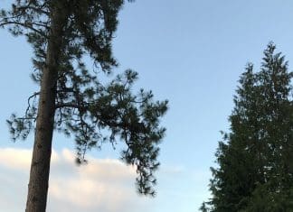 Review: Floorless Pyramid Shootout IMG 0958847