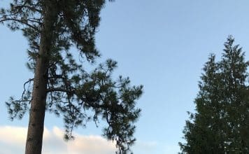 Review: Floorless Pyramid Shootout IMG 0958847