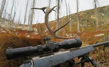 Bushnell ELITE TACTICAL ERS 3.5-21x50mm Review Image 1808