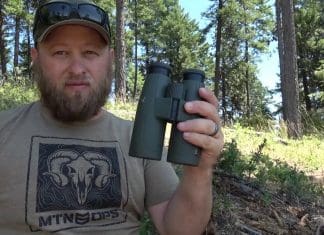 Comparing the Maven C.1 to the Swarovski SLC