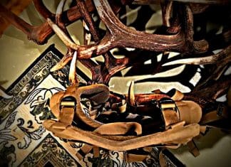 Review: EXO K2 Frame with Horn Hunter Attachment neck-001