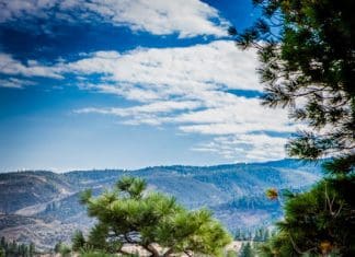 Rok Hard Soft Sided Cooler Showdown