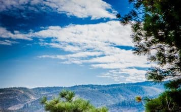 Rok Hard Soft Sided Cooler Showdown