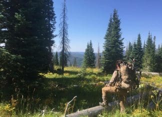 Kifaru Fulcrum Review