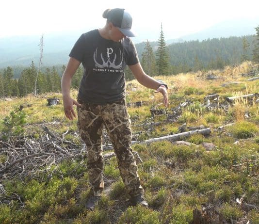 First Lite Alturas Women’s Guide Pant