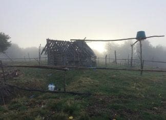 Hunting Separation Anxiety Part II: “The Transylvanian Roar”