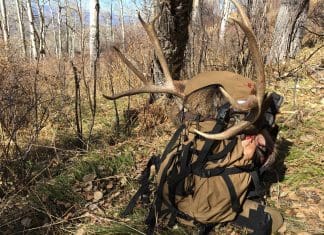 Nimrod Carbon Canyon Pack Review