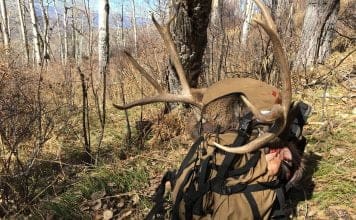 Nimrod Carbon Canyon Pack Review