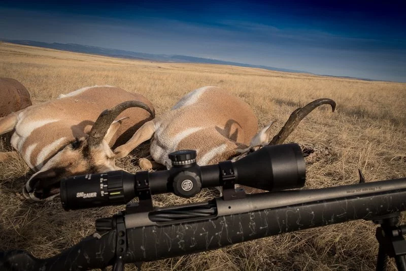 Sig Sauer Whiskey 5 Riflescope Review - Rokslide Sig Sauer Whiskey 5 Riflescope Review - Rokslide