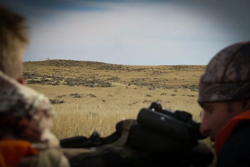 Sig Sauer Whiskey 5 Riflescope Review - Rokslide Sig Sauer Whiskey 5 Riflescope Review - Rokslide