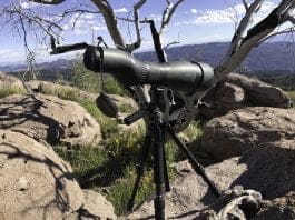 Swarovski STX System Review