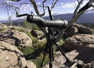 Swarovski STX System Review