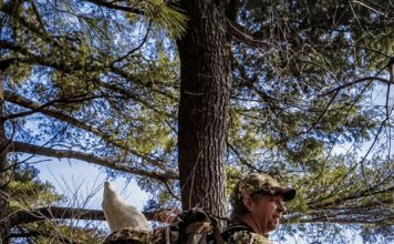 Sitka Ascent Shirt and Kelvin Active Jacket Review