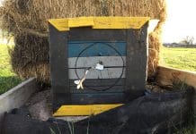 Cold Bow Challenge: What’s Your Maximum Effective Range?
