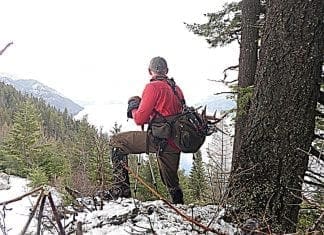 Black Diamond Alpine Light Pants Review