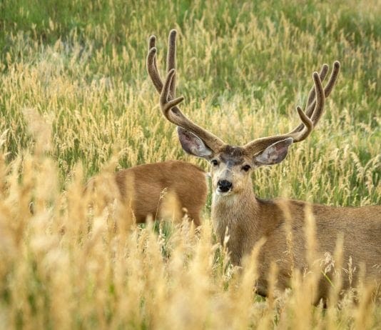 So You Didn’t Draw? Now What?