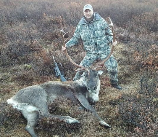 Non-Resident’s Guide to Hunting Alaska