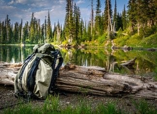 Seek Outside Peregrine Review