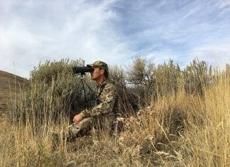 SIG SAUER ELECTRO-OPTICS ZULU9 15×56 Binocular Review